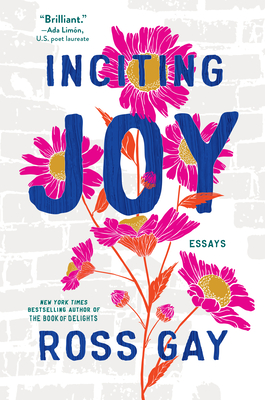 Inciting Joy: Essays - Gay, Ross