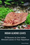 Indian Almond Leaves: 10 Reasons to Use Indian Almond Leaves in Your Aquarium