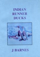 Indian Runner Ducks - Barnes, J.