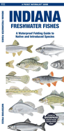 Indiana Freshwater Fishes: A Folding Guide to Native and Introduced Species