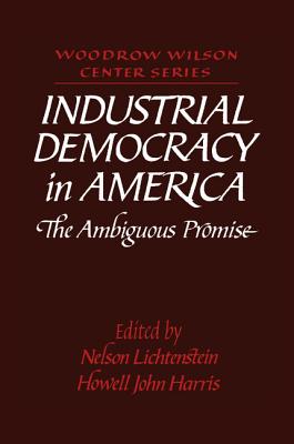 Industrial Democracy in America: The Ambiguous Promise - Lichtenstein, Nelson (Editor), and Harris, Howell John (Editor)