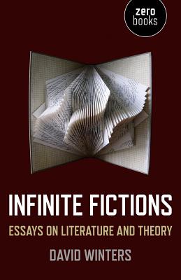 Infinite Fictions: Essays on Literature and Theory - Winters, David