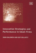 Innovation Strategies and Performance in Small Firms