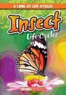 Insect Life Cycles