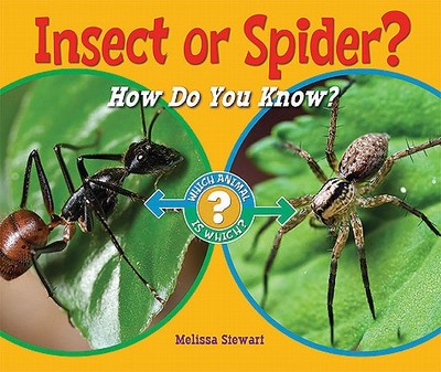 Insect or Spider?: How Do You Know? - Stewart, Melissa