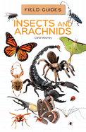 Insects and Arachnids