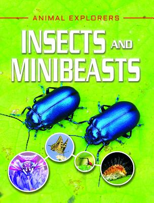 Insects and Minibeasts - Leach, Michael, and Lland, Meriel