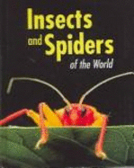 Insects and Spiders of the World