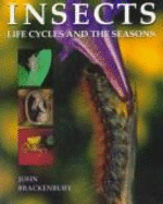 Insects: Life Cycles and the Seasons - Brackenbury, John