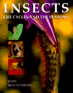 Insects: Life Cycles and the Seasons