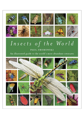 Insects of the World: An Illustrated Guide to the World's Most Abundant Creatures - Zborowski, Paul