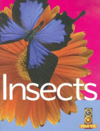 Insects