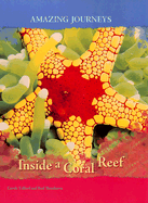 Inside a Coral Reef
