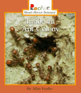 Inside an Ant Colony