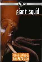 Inside Nature's Giants: Giant Squid - David Dugan