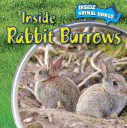 Inside Rabbit Burrows