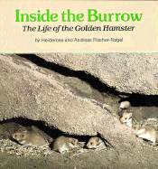 Inside the Burrow: The Life of the Golden Hamster