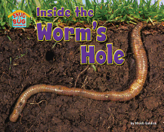 Inside the Worm's Hole