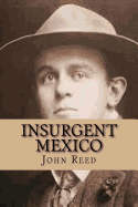 Insurgent Mexico