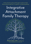 Integrative Attachment Family Therapy: A Clinical Guide to Heal and Strengthen the Parent-Child Relationship Through Play, Co-Regulation, and Self Connection