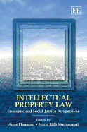 Intellectual Property Law: Economic and Social Justice Perspectives