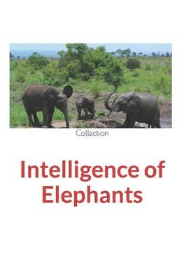 Intelligence of Elephants - Nature and Human Studies, and Collection