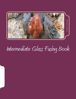 Intermediate Glass Fusing Book: Intermediate Glass Fusing Projects - Brown, Connie M