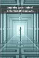 Into the Labyrinth of Differential Equations