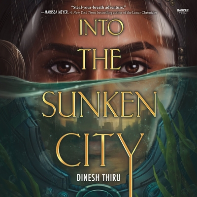 Into the Sunken City - Thiru, Dinesh, and Zamamiri, Rasha (Read by)