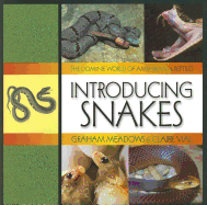 Introducing Snakes
