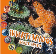 Invertebrados (Invertebrates)