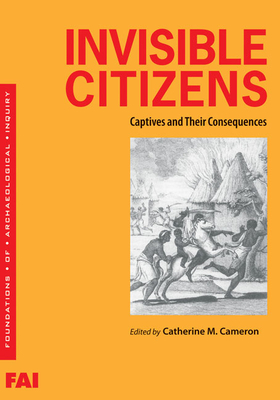 Invisible Citizens: Captives and Their Consequences - Cameron, Catherine M (Editor)