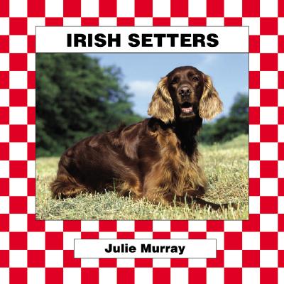 Irish Setters - Kallen, Stuart A