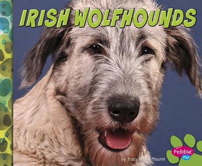 Irish Wolfhounds - Morey, Allan