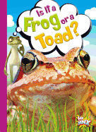 Is It a Frog or a Toad?