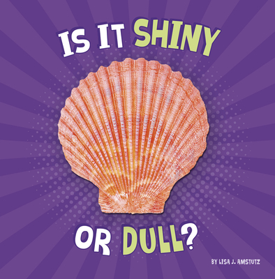 Is It Shiny or Dull? - Amstutz, Lisa J