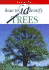 Trees (How to Identify)