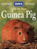 Care for Your Guinea Pig (Official Rspca Pet Guides)