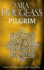Pilgrim (Wayfarer Redemption)
