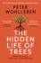The Hidden Life of Trees: the International Bestseller-What They Feel, How They Communicate