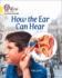 How the Ear Can Hear: Band 03/Yellow (Collins Big Cat Phonics for Letters and Sounds)