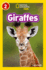 Giraffes: Level 2 (National Geographic Readers)