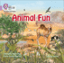 Animal Fun Big Book: Band 00/Lilac