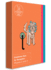 Grapheme Mats for Reception (Pack of 10): Phases 2 and 3 (Big Cat Phonics for Little Wandle Letters and Sounds Revised)