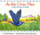 As the Crow Flies: A First Book of Maps