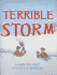 Terrible Storm