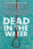 Dead in the Water: a Novel