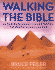 Walking the Bible: an Illustrated Journey for Kids Through the Greatest Stories Ever Told