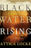 Black Water Rising: a Novel