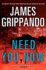 Need You Now: a Novel